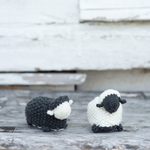 Buy The Wool-Jeanie – Black Sheep Wools